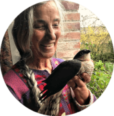 weaving magic with animal spirits